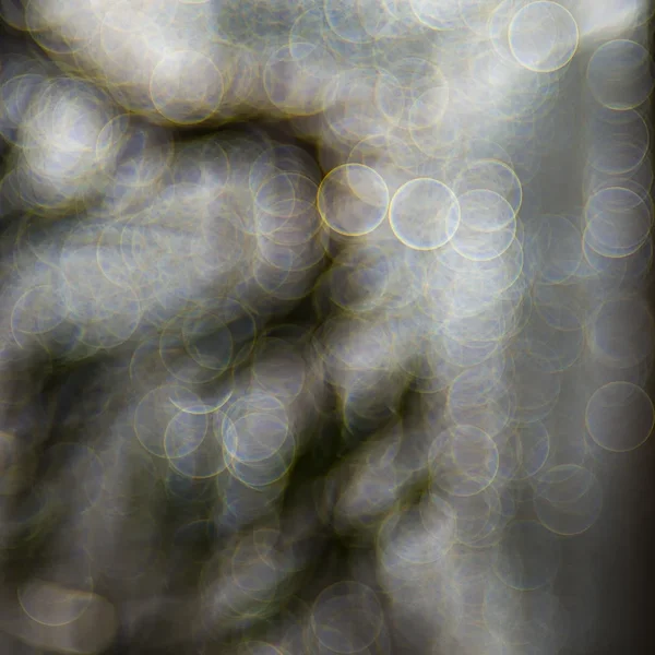 CI_114_Bokeh_Feb2016.webp CI_114_Bokeh_Feb2016.webp