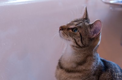 20160225-_IGP7327.jpg