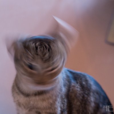 20160225-_IGP7330.jpg