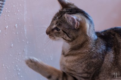 20160225-_IGP7334.jpg
