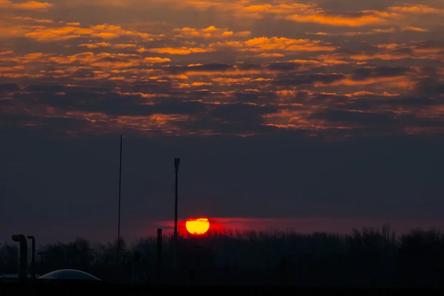 20160228_WF31b_013_01.webp