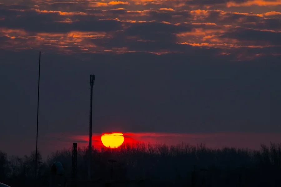 20160228_WF31b_014_01.webp