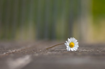 IMGP6437_LR_3zu2.jpg