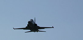 fly.jpg