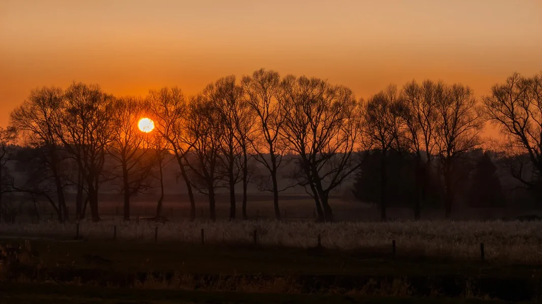 P3095342.webp