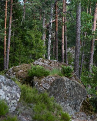 20150723_Schweden 2015_DSC_5565_1099.jpg