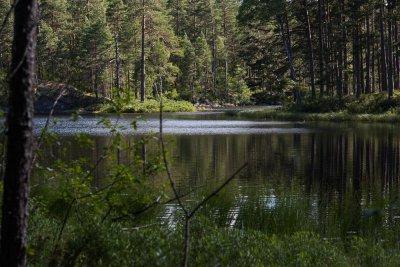 20150723_Schweden 2015_DSC_5553_1090.jpg