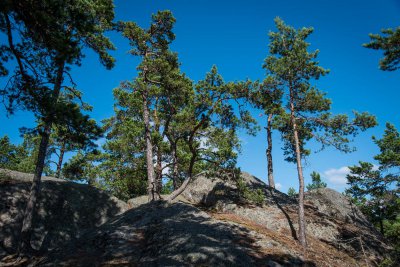 20150723_Schweden 2015_DSC_5494_1037.jpg