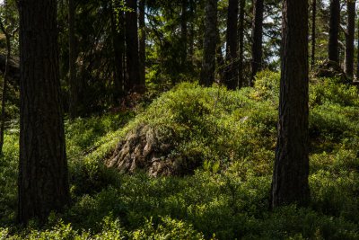 20150723_Schweden 2015_DSC_5477_1026.jpg