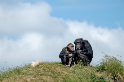 20150608-DSCF1795.jpg 20150608-DSCF1795.jpg