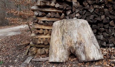 2016-03-24 12.47.jpg