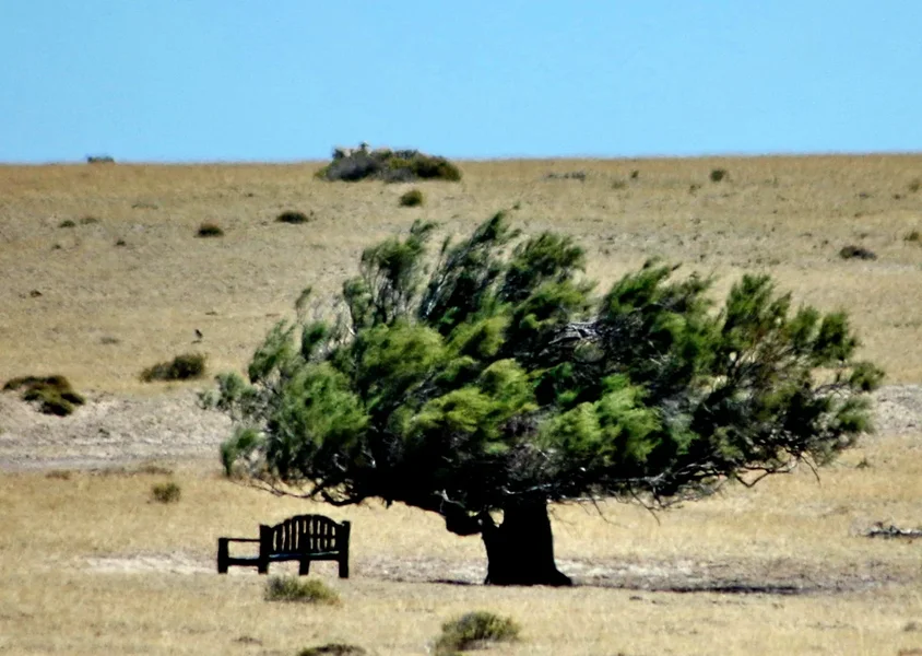 BAUM_un_kl.webp BAUM_un_kl.webp