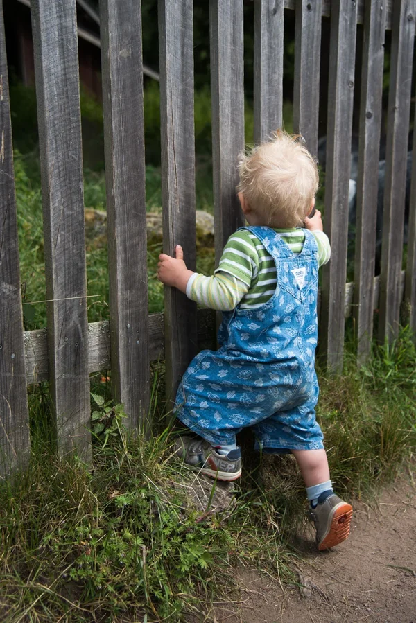 20150722_Schweden 2015_DSC_5402_974.webp