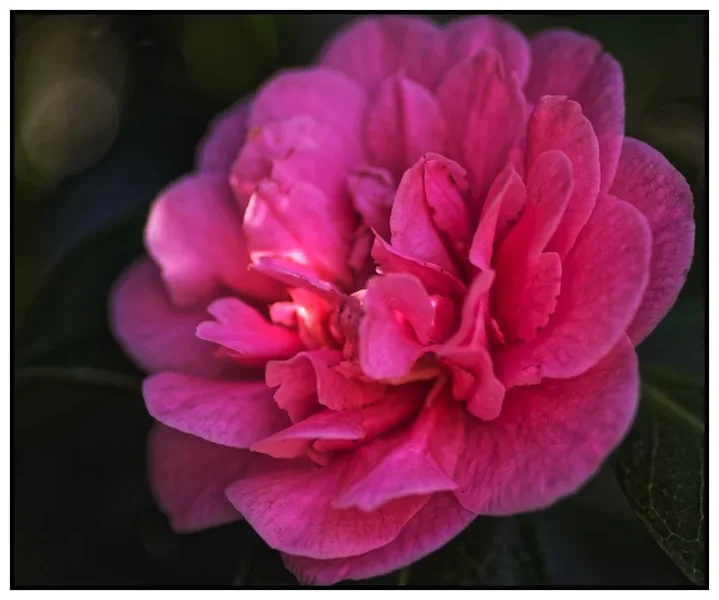 _small__IGP8821_DxO.webp