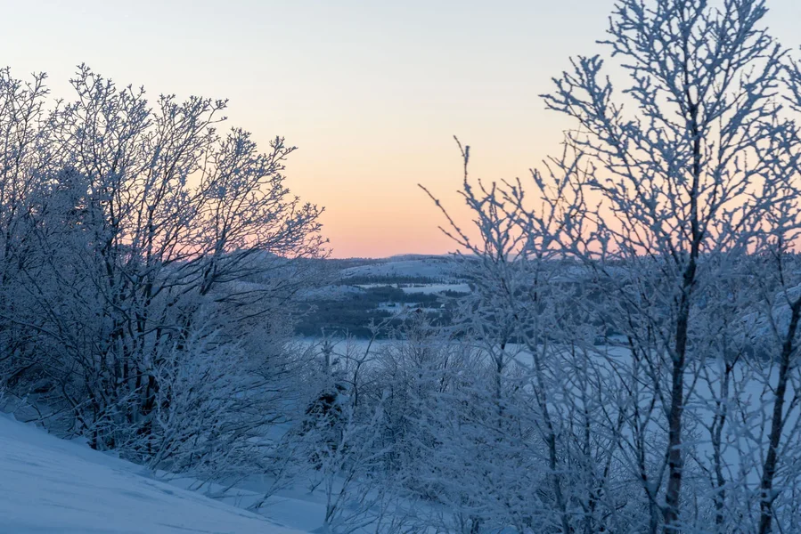 Kirkenes_6.webp