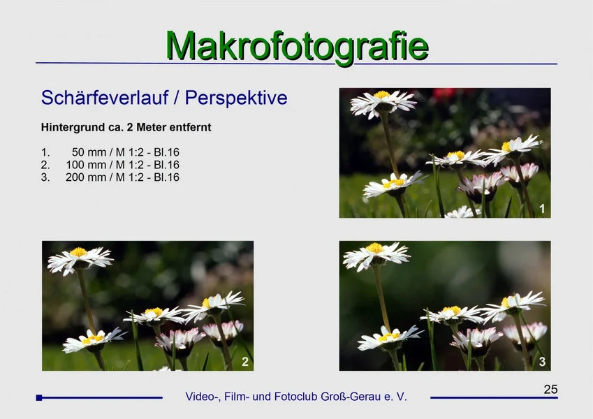 Seite 25-Makro-Workshop-1VFFC-2016.webp