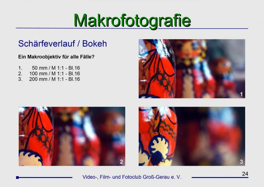 Seite 24-Makro-Workshop-1VFFC-2016.webp