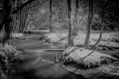 (c)MFocks_2016-04-09Angertal_IR-1007.jpg