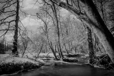 (c)MFocks_2016-04-09Angertal_IR-1010.jpg