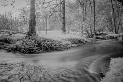 (c)MFocks_2016-04-09Angertal_IR-1021.jpg