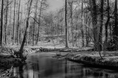 (c)MFocks_2016-04-09Angertal_IR-1030.jpg