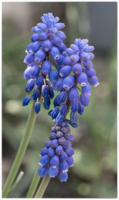 ci_SAM_7606.jpg ci_SAM_7606.jpg