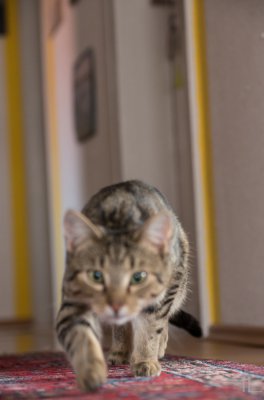 20160412-_IGP7679.jpg