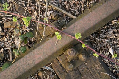 K3IM7117_1.jpg K3IM7117_1.jpg