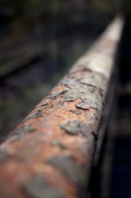 K3IM7118.jpg K3IM7118.jpg