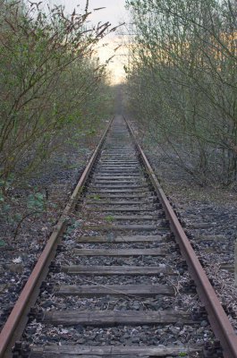 K3IM7197_1.jpg K3IM7197_1.jpg