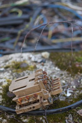 K3IM7201.jpg K3IM7201.jpg