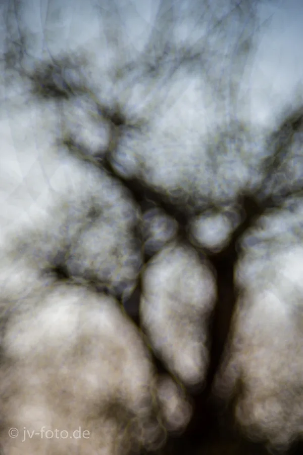 CI_023_MG_Bokeh.webp CI_023_MG_Bokeh.webp