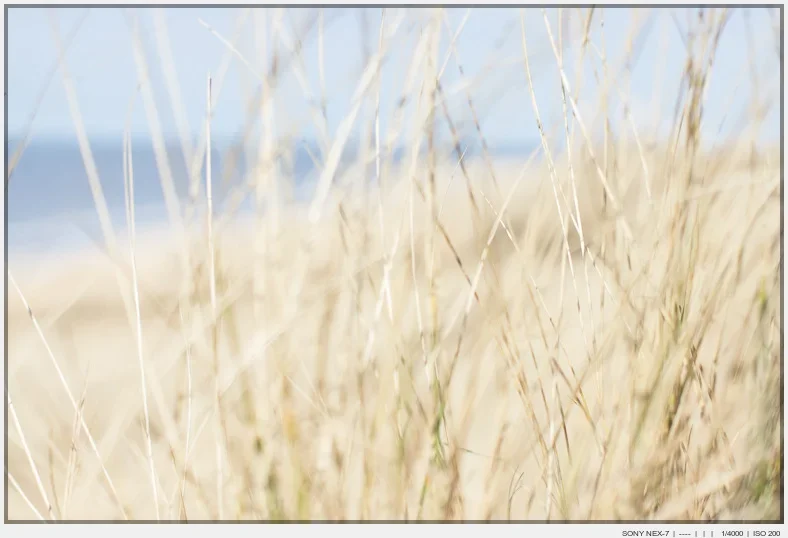 Nordsee_20150322529859.webp Nordsee_20150322529859.webp