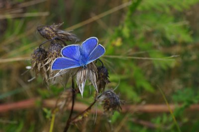 comp_b1.jpg comp_b1.jpg