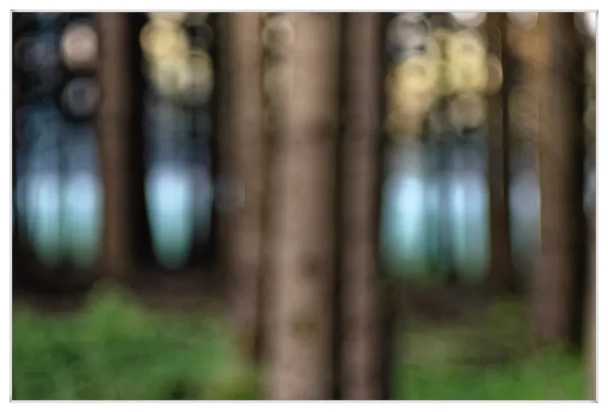 _small__IGP7964.webp _small__IGP7964.webp