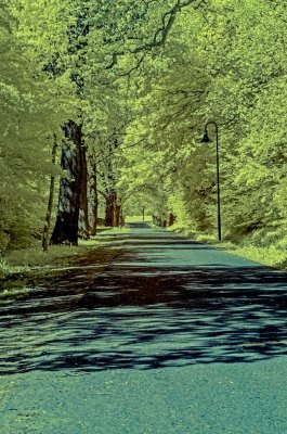 20160508_Destedt_062_01.jpg