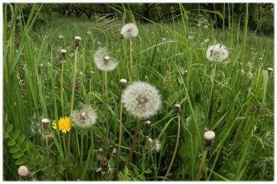 ci_SAM_8183.jpg ci_SAM_8183.jpg