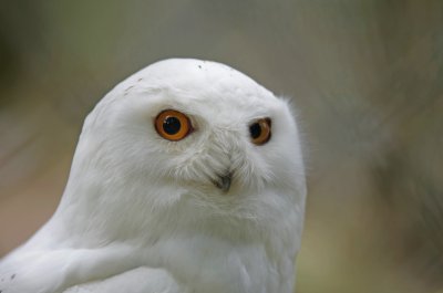 comp_IMGP3917h.jpg comp_IMGP3917h.jpg