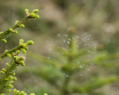 20160516-_IGP8563.jpg 20160516-_IGP8563.jpg