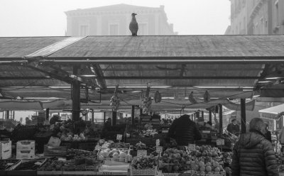 L1008687.jpg
