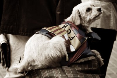 barca01.jpg barca01.jpg