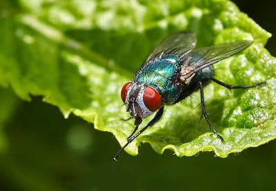 AK3_1592_C1 1_ja.jpg AK3_1592_C1 1_ja.jpg