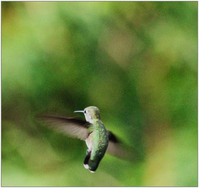 _small_Kalifornien-Hawaii 2015 75_DxO.JPG