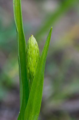 20160604-IMGP3392 Dörrnwasserlos Kopie 800.jpg