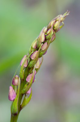 20160604-IMGP3397 Dörrnwasserlos Kopie 800.jpg