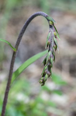 20160604-IMGP3546 Dörrnwasserlos Kopie 800.jpg