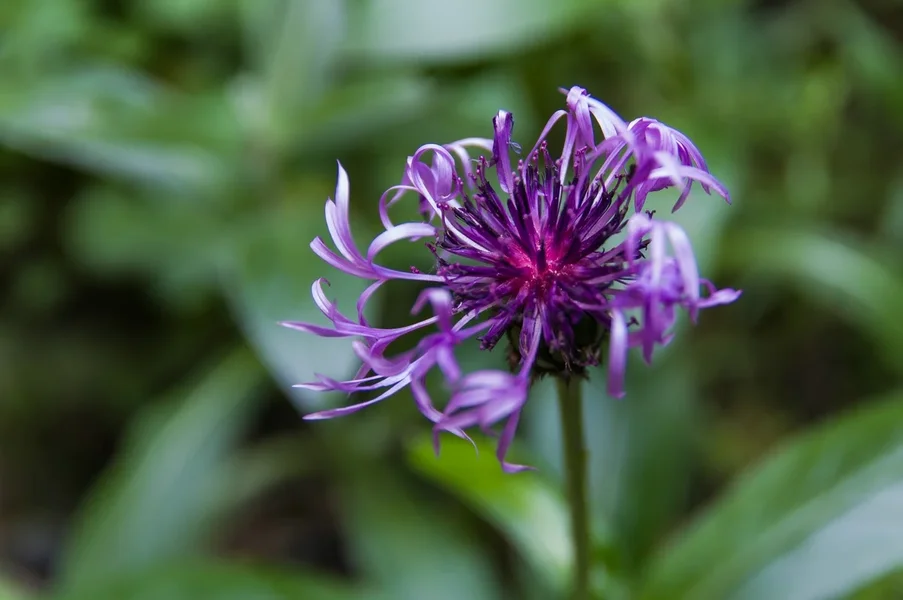 comp_IMGP9663.webp