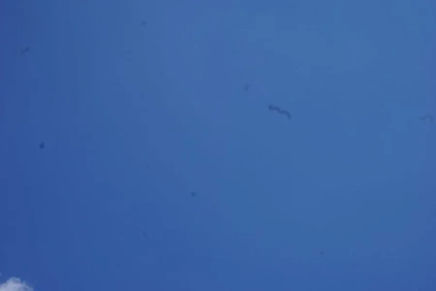DSC07262.webp