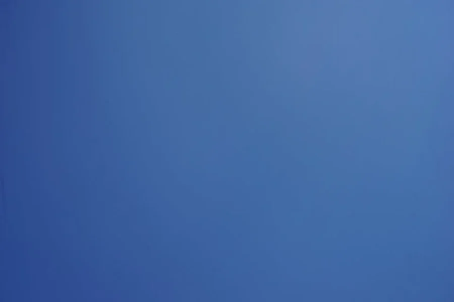 DSC07266.webp