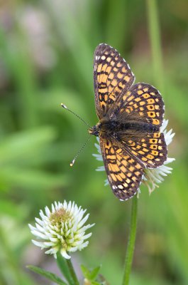 20160604-IMGP3379 Dörrnwasserlos Kopie 800.jpg